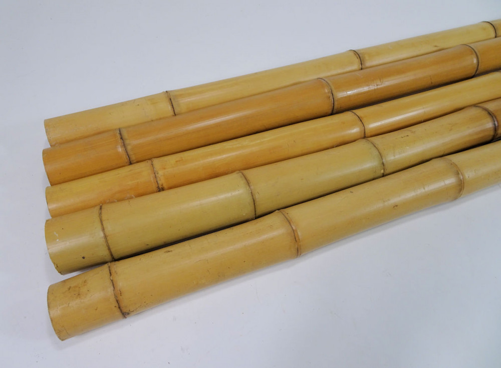 5 x Bambusrohr, Bambusstange, Bambusstangen L 200 cm D 6-7 cm