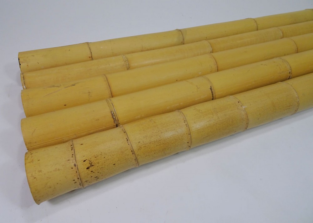 5 x Bambusrohr, Bambusstange, Bambusstangen L 200 cm D 8-10 cm