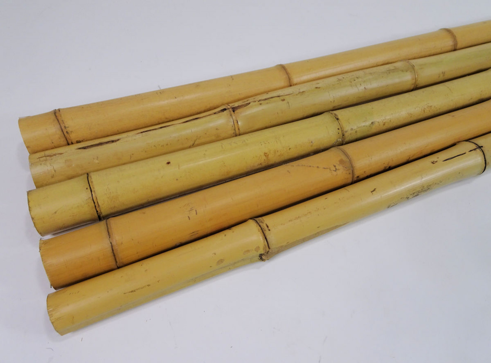 5 x Bambusrohr, Bambusstange, Bambusstangen L 200 cm D 5-6 cm