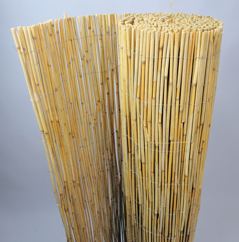 Dschungelrohrmatte Extra Schilfrohrzaun, Sichtschutzmatte, Schilfrohrmatte, 500 cm H 150 cm